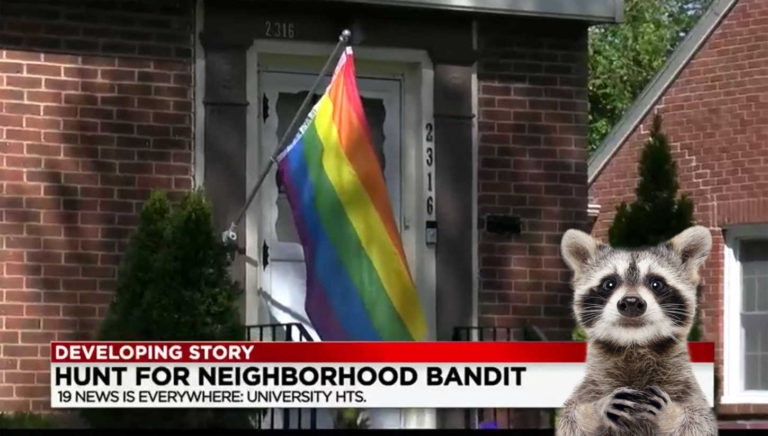 Pro-Gay Raccoon Outed By Nosey Dog After Pride Flag Theft in Ohio (Yes, Really) – pride source.com Pro-Gay Raccoon Outed By Nosey Dog After Pride Flag Theft in Ohio (Yes, Really) – pride source.com